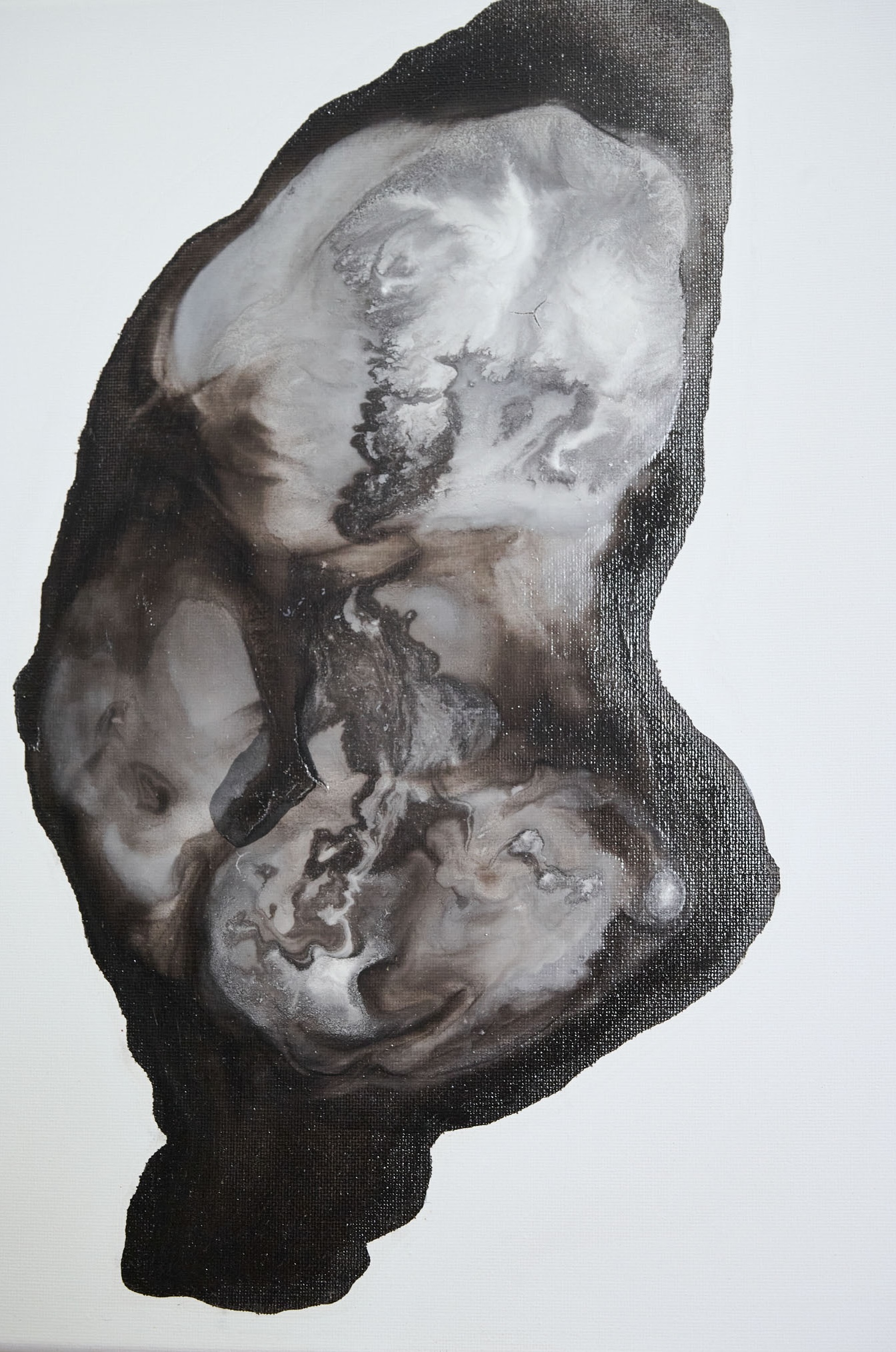 Fossil 2