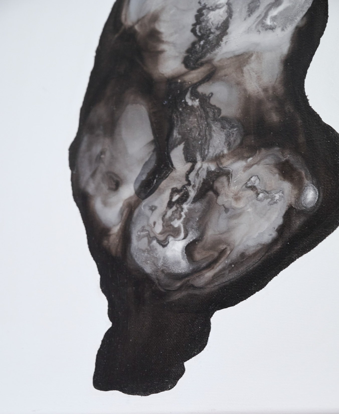 Fossil 3